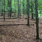 Wisilas Nad Sercowym Potokiem *