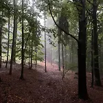 Wisilas Nad Sercowym Potokiem ラプカ