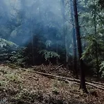 Wisilas Nad Sercowym Potokiem * Rabka-Zdrój