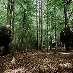 Wisilas Nad Sercowym Potokiem Rabka-Zdrój
