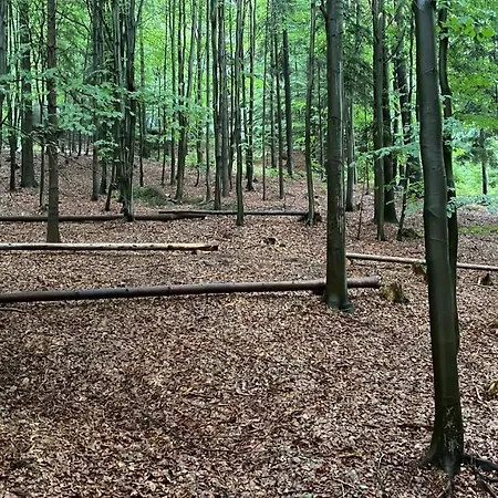 Wisilas Nad Sercowym Potokiem *