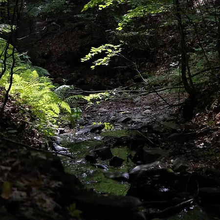 Wisilas Nad Sercowym Potokiem