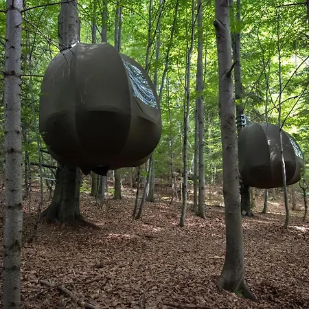 Wisilas Nad Sercowym Potokiem * Rabka