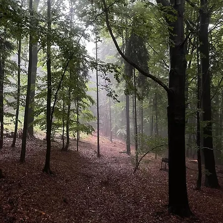 Wisilas Nad Sercowym Potokiem Rabka