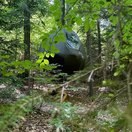 Wisilas Nad Sercowym Potokiem *