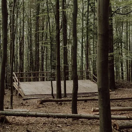 Wisilas Nad Sercowym Potokiem Rabka