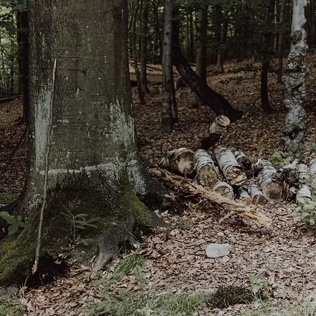 Wisilas Nad Sercowym Potokiem
