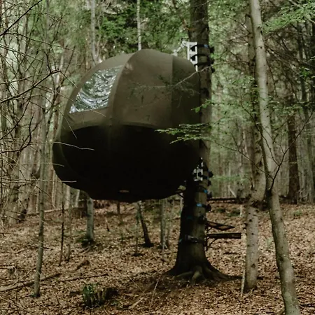 Wisilas Nad Sercowym Potokiem