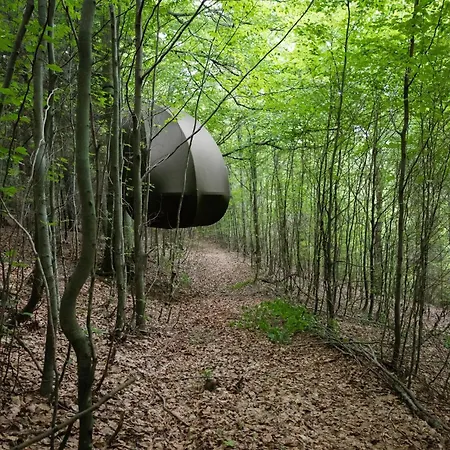 Wisilas Nad Sercowym Potokiem * Rabka