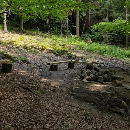 Wisilas Nad Sercowym Potokiem * Rabka