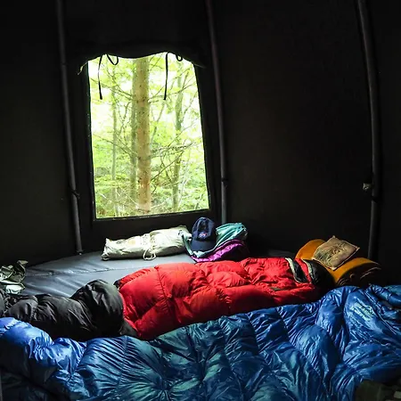 Wisilas Nad Sercowym Potokiem * Rabka