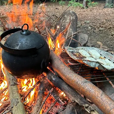 Wisilas Nad Sercowym Potokiem