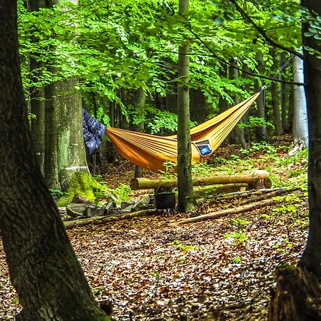 Wisilas Nad Sercowym Potokiem *