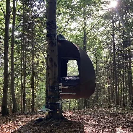 Wisilas Nad Sercowym Potokiem