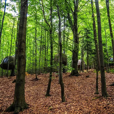 Luksusowy namiot Wisilas Nad Sercowym Potokiem *