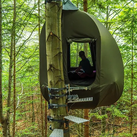 Wisilas Nad Sercowym Potokiem *