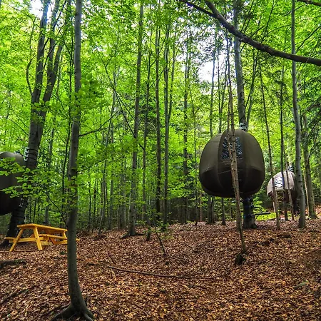 Wisilas Nad Sercowym Potokiem *