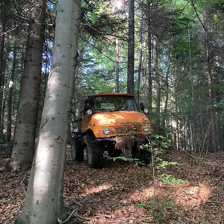 Wisilas Nad Sercowym Potokiem *