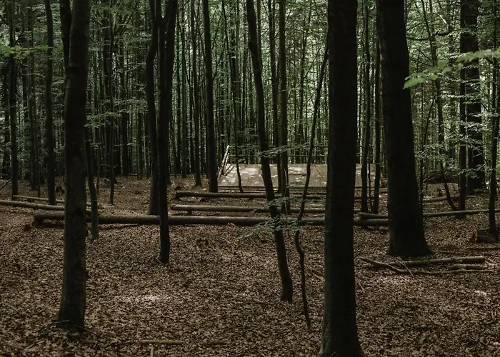 Wisilas Nad Sercowym Potokiem * Rabka-Zdrój
