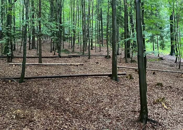 Wisilas Nad Sercowym Potokiem *