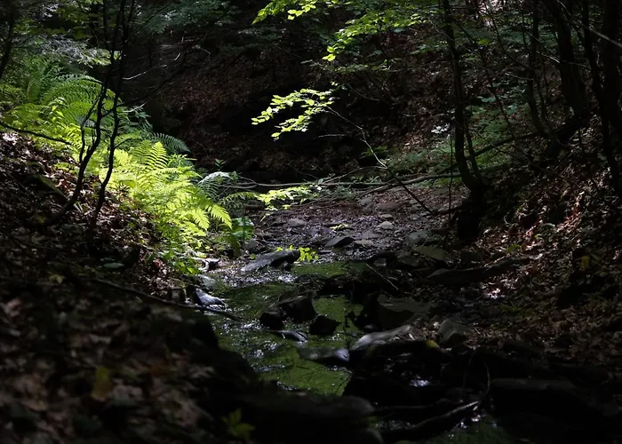 Wisilas Nad Sercowym Potokiem