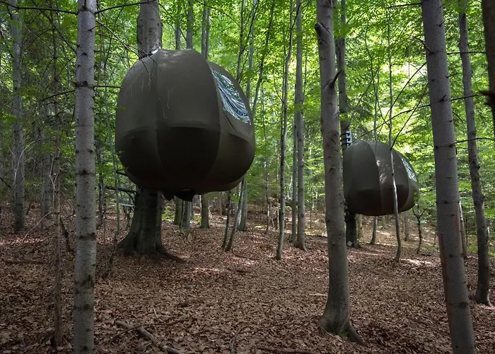 Wisilas Nad Sercowym Potokiem * Rabka-Zdrój