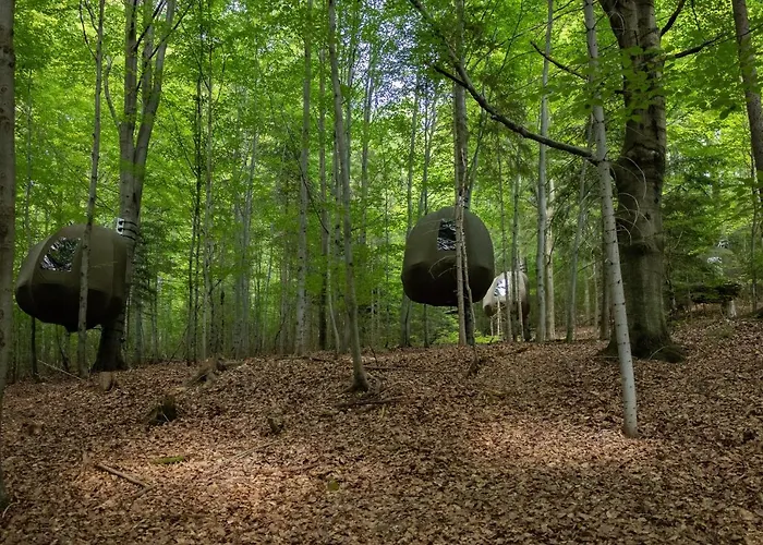 Wisilas Nad Sercowym Potokiem Glamping Rabka-Zdrój