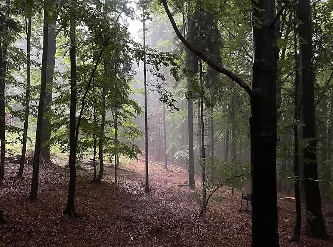 Wisilas Nad Sercowym Potokiem Rabka-Zdrój