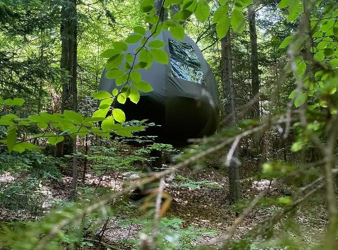 Wisilas Nad Sercowym Potokiem *