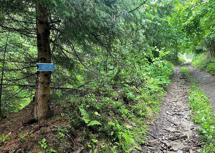 Wisilas Nad Sercowym Potokiem *