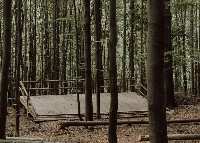 Wisilas Nad Sercowym Potokiem Rabka-Zdrój