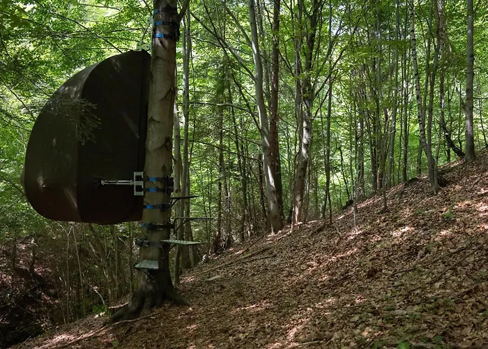 Wisilas Nad Sercowym Potokiem *