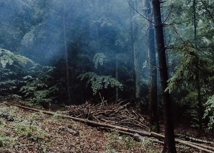 Wisilas Nad Sercowym Potokiem * Rabka-Zdrój