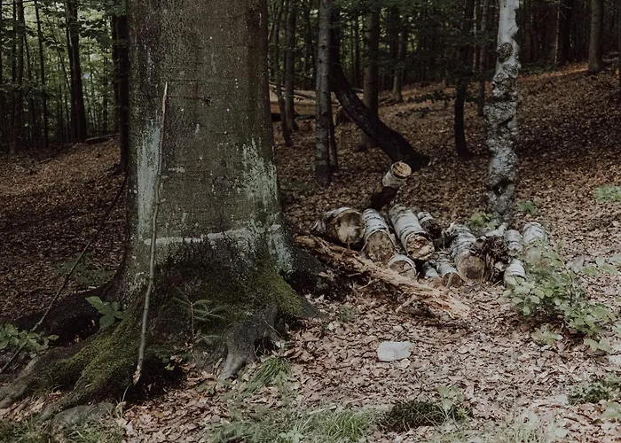 Wisilas Nad Sercowym Potokiem