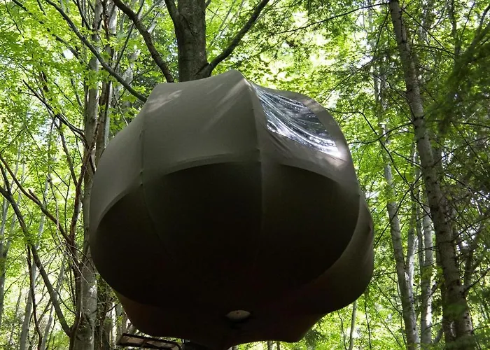 Wisilas Nad Sercowym Potokiem Glamping *