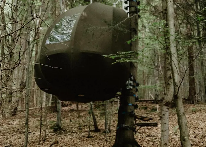 Wisilas Nad Sercowym Potokiem