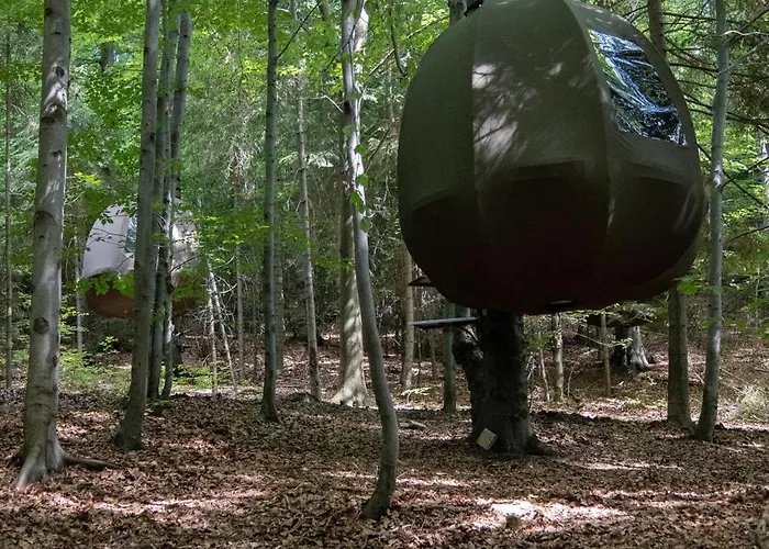 Wisilas Nad Sercowym Potokiem Rabka-Zdrój