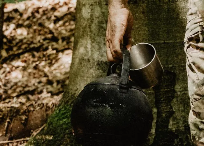 Wisilas Nad Sercowym Potokiem * Rabka-Zdrój