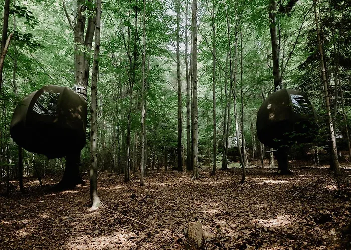 Wisilas Nad Sercowym Potokiem Rabka-Zdrój