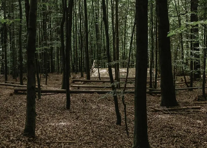 Wisilas Nad Sercowym Potokiem Glamping