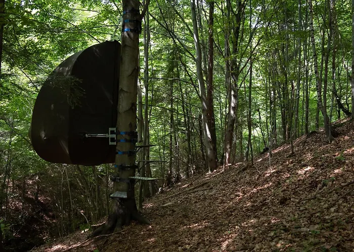 Wisilas Nad Sercowym Potokiem Glamping Rabka-Zdrój