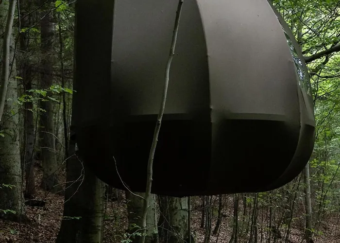 Wisilas Nad Sercowym Potokiem Rabka-Zdrój