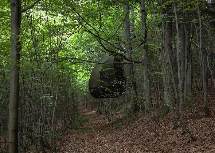 Glamping Wisilas Nad Sercowym Potokiem