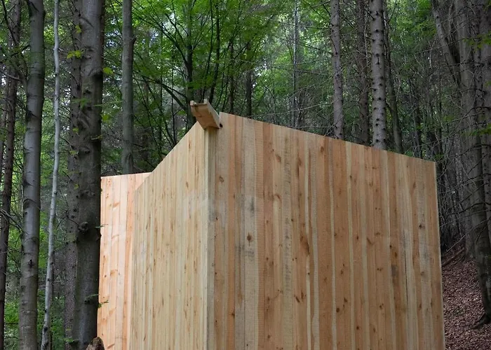 Wisilas Nad Sercowym Potokiem