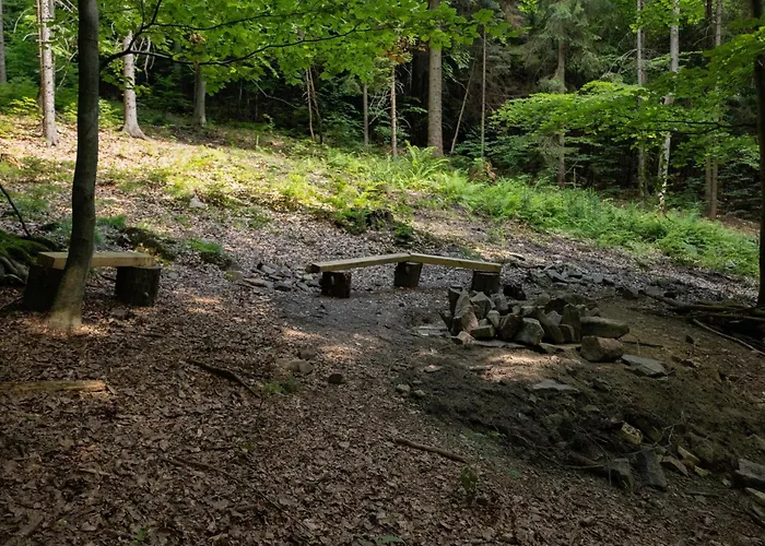 Wisilas Nad Sercowym Potokiem * Rabka-Zdrój