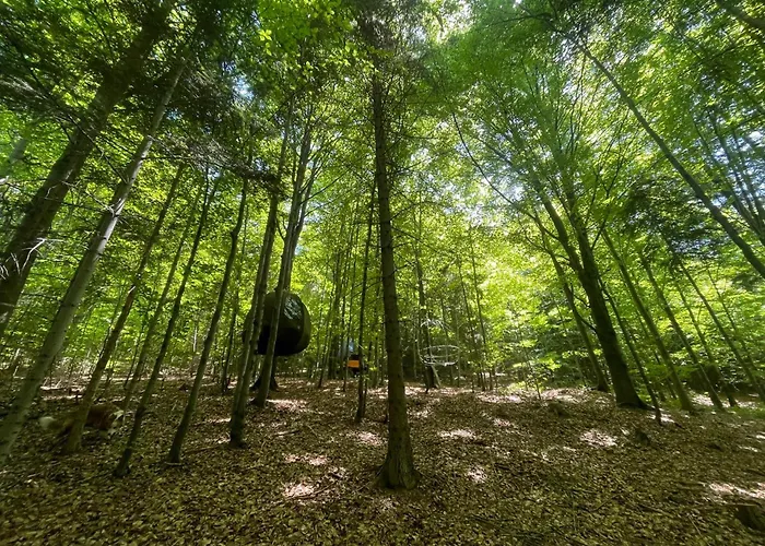 Wisilas Nad Sercowym Potokiem