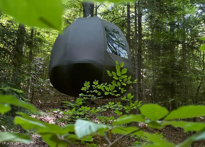 Glamping Wisilas Nad Sercowym Potokiem