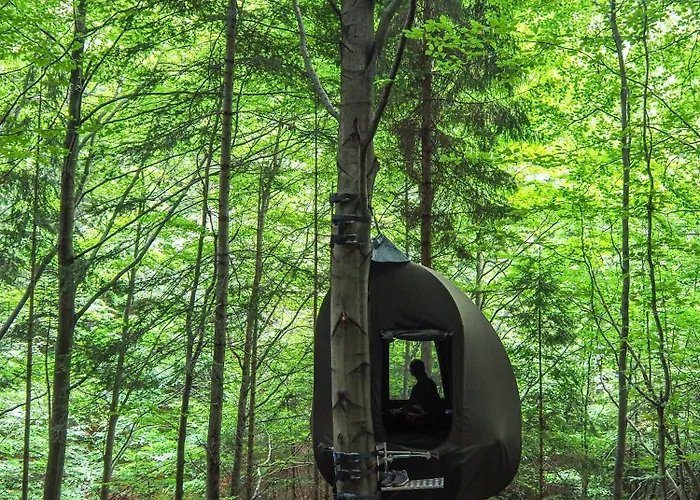 Glamping Wisilas Nad Sercowym Potokiem *