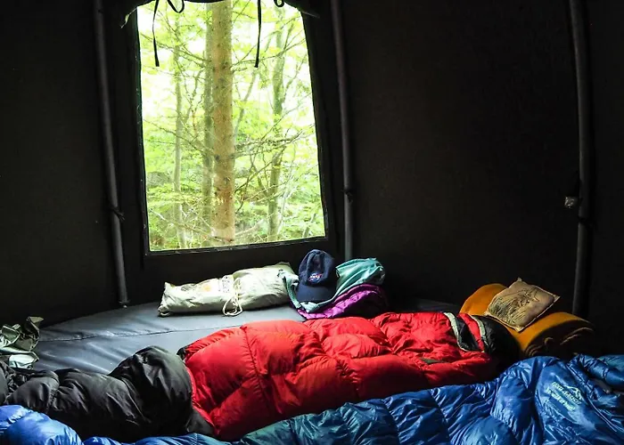 Wisilas Nad Sercowym Potokiem * Rabka-Zdrój