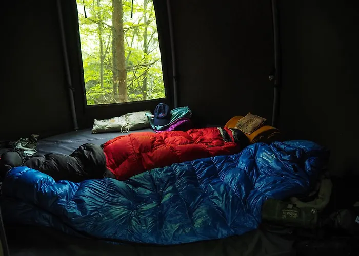 Glamping Wisilas Nad Sercowym Potokiem